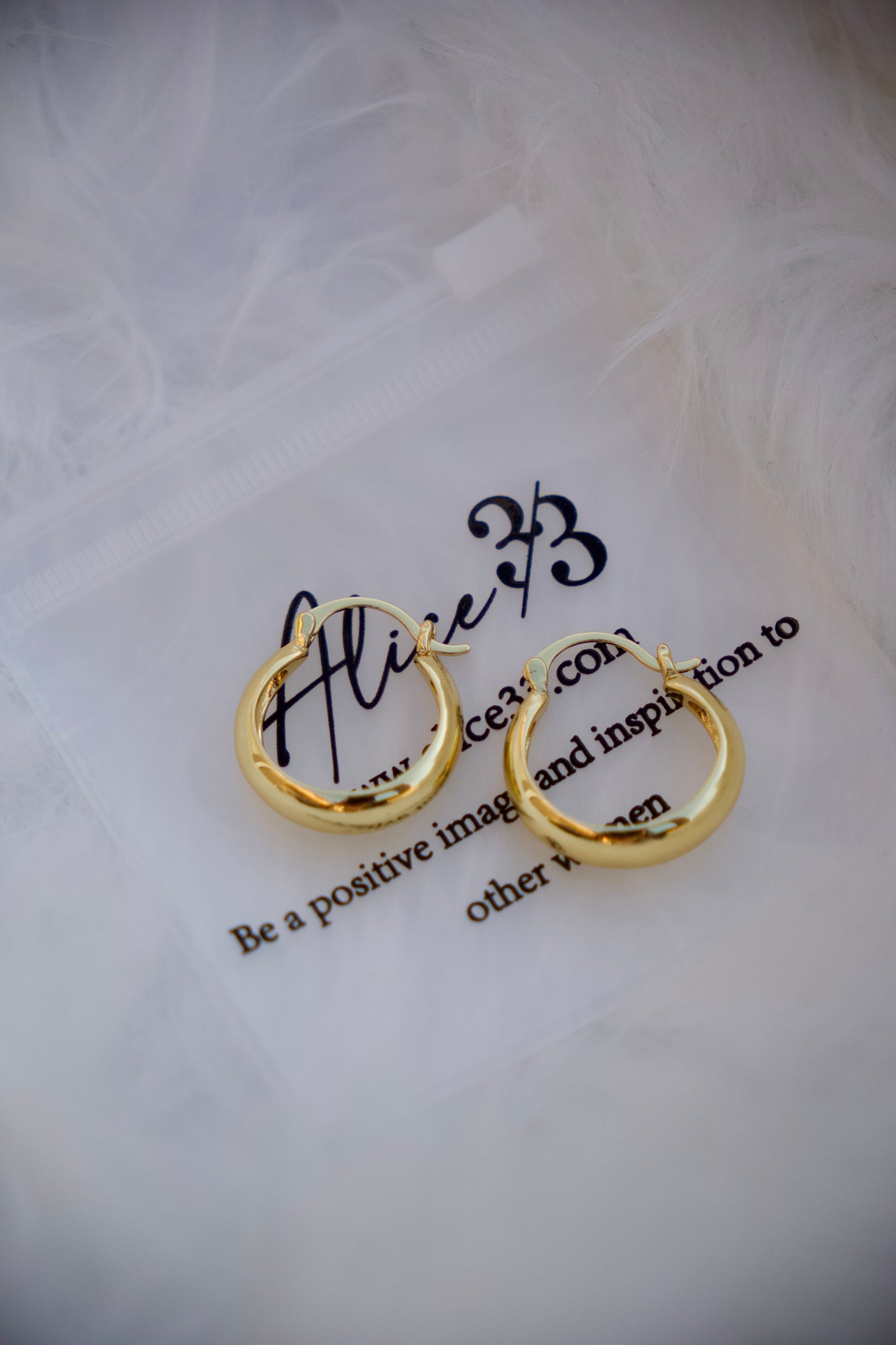 Alice Mini Hoop Gold Earrings